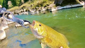 森の奥にレベチな川あった