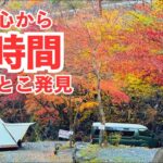 川！釣り！星空！「玉川キャンプ村」【場内紹介】