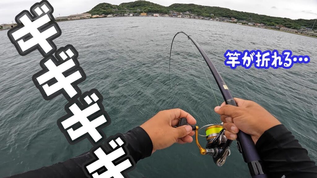 エサ釣りしてたらとんでもない力で竿が海に…