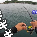 エサ釣りしてたらとんでもない力で竿が海に…