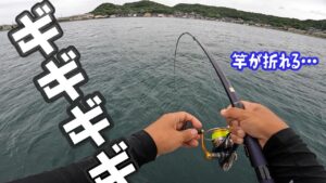 エサ釣りしてたらとんでもない力で竿が海に…
