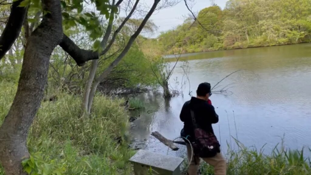 【宮城県】釣れる沼。