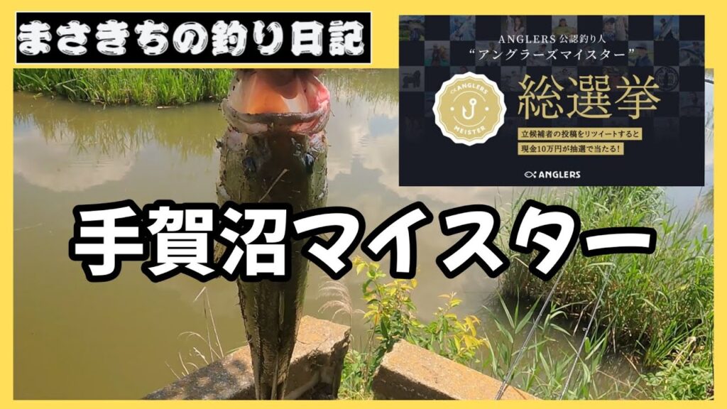 【手賀沼バス釣り】手賀沼のバス釣りマイスターになりたい！手賀沼はブラックバスが釣れます。激渋だけど。