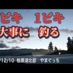 どこに座っても　釣れる！？腕の見せどころ？#ワカサギ釣り #桧原湖ワカサギ釣り #シマノ #レイクマスター