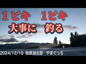 どこに座っても 釣れる!?腕の見せどころ?#ワカサギ釣り #桧原湖ワカサギ釣り #シマノ #レイクマスター