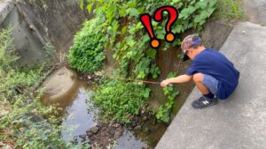 用水路にミミズ垂らしたらスゴいことになった