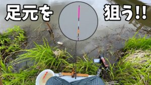 印旛沼に流れ込む鹿島川でハタキを狙って短竿勝負！【千葉県佐倉市 鹿島川】
