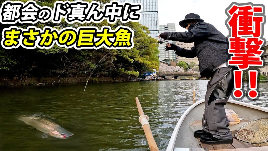 首都高の真下で巨大トラウトが釣れまくるヤバい場所を発見した【弁慶堀・弁慶橋ボート場・エリアトラウト・管理釣り場】
