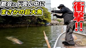 首都高の真下で巨大トラウトが釣れまくるヤバい場所を発見した【弁慶堀・弁慶橋ボート場・エリアトラウト・管理釣り場】