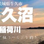 欲張りなポイント！稲荷川と牛久沼でへらぶな釣り