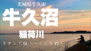欲張りなポイント!稲荷川と牛久沼でへらぶな釣り