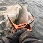 冬の洞爺湖〜とんでもないのがネットイン