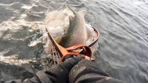 冬の洞爺湖〜とんでもないのがネットイン