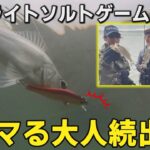 爆釣！！人気のライトソルトゲームで浜名湖のセイゴを狙う！【ルアー合衆国プラス】