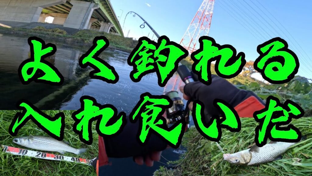 ［埼玉県新河岸川釣り］まさかの入れ食いでした