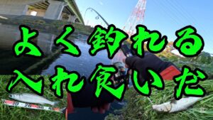 ［埼玉県新河岸川釣り］まさかの入れ食いでした