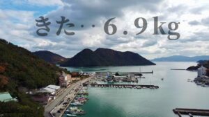 岡山で青物まだ釣れる!中国地方岡山県日生諸島ライトショアジギング 瀬戸内海ハマチからのブリ 最新状況概要欄記載