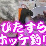 【釣り】ひたすらホッケ北海道・ホッケ狙い道中車内のテンションＵＰに♪