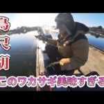 【ワカサギ釣り】初めての鳴沢湖！釣り場紹介