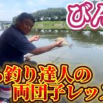 びん沼下流の達人！粒さんによるへらぶな両団子釣りのレッスン！びん沼攻略は大変そうだ！釣りうま過ぎて凄かった‥