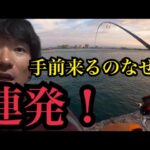 浜名湖で釣って食べる😋