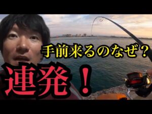 浜名湖で釣って食べる😋