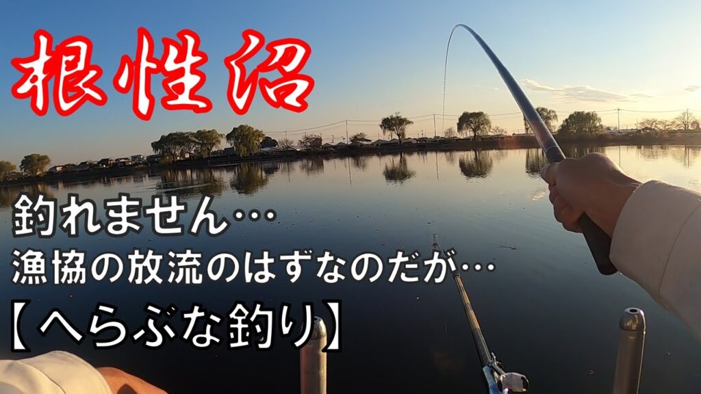 なかなか釣れない「近藤沼」【へらぶな釣り】