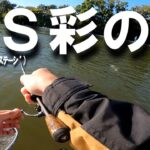 【エリアトラウト】彩の国の管理釣り場【フィッシングステージ彩の国】