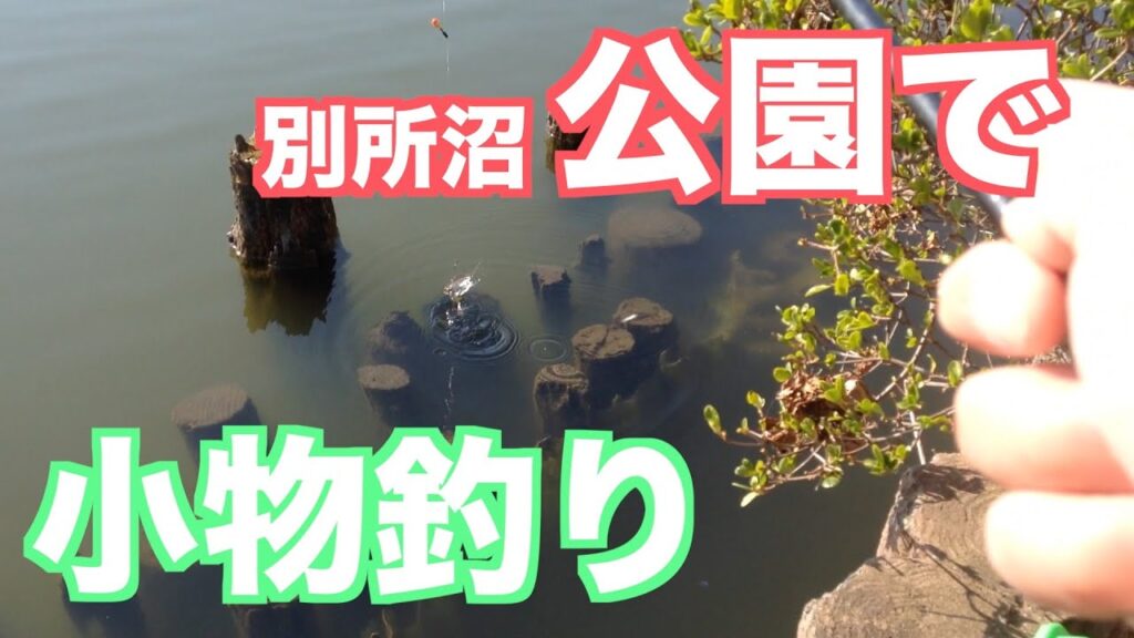 別所沼で何が釣れる？小物釣りをしてみる