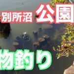 別所沼で何が釣れる？小物釣りをしてみる