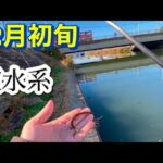 釣果報告多数！ 霞水系 バス釣り おかっぱり