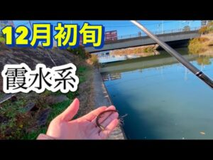 釣果報告多数！ 霞水系 バス釣り おかっぱり