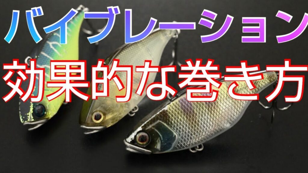 【秋のバス釣り】【近藤沼】バイブレーションの釣れる巻き方