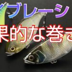 【秋のバス釣り】【近藤沼】バイブレーションの釣れる巻き方