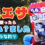 清遊湖でへらぶな釣り🎣今回も笑へらの底釣修行エピソード３🎣