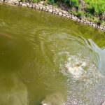 なんでも釣れちゃうという噂の川がこちら