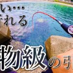 【穴釣り】史上最大級の引きをした大物と激闘してきました。