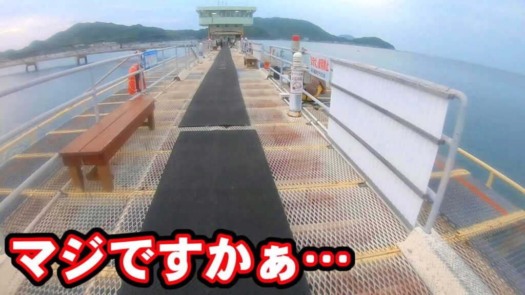 海釣り公園をナメて泳がせ釣りをしたらこうなります……！！