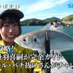 【おとな釣り倶楽部】愛媛県愛南町、自然豊かな管理釣り場でアジング釣り＆グルメを満喫