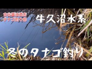 冬のタナゴ釣り（牛久沼水系）