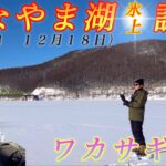 【ワカサギ釣り】シーズン初かなやま湖氷上調査へ、魚探高反応の激アツポイントでワカサギ好調！