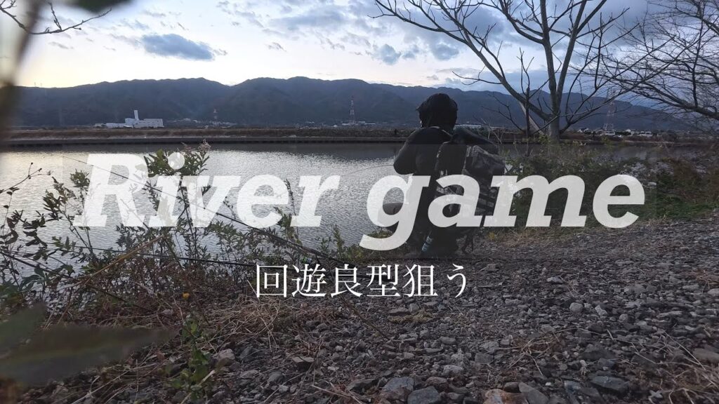 【養老 五三川】回遊良型