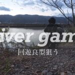 【養老 五三川】回遊良型