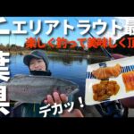 千葉県の管理釣り場がヤバすぎる！良型トラウトにレア放流魚『鳳来鱒』、尺ヤマメまで！赤身をお刺身で頂きます【エリアトラウト】