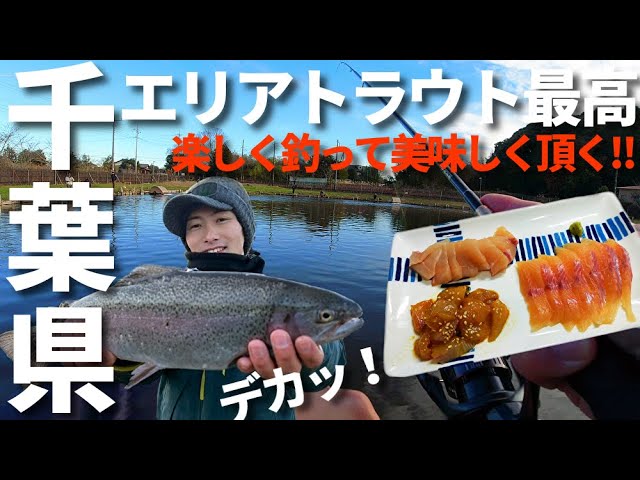 千葉県の管理釣り場がヤバすぎる!良型トラウトにレア放流魚『鳳来鱒』、尺ヤマメまで!赤身をお刺身で頂きます【エリアトラウト】