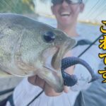 訪れた転機！遠賀川の逆境を打破せよ！【釣り時季】