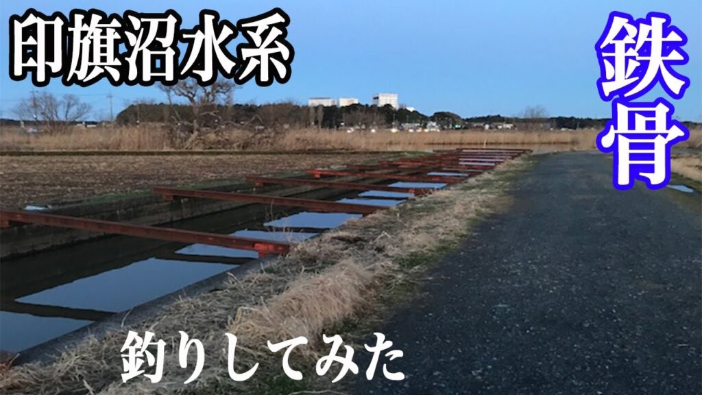 印旛沼水系！超有名な冬バスポイント！鉄骨で釣りしてみた！！