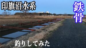 印旛沼水系!超有名な冬バスポイント!鉄骨で釣りしてみた!!