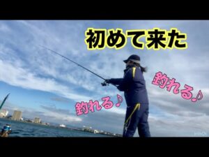 【浜名湖 釣り】初めてシリーズ「釣り場編」✨この釣り場も好き😊 青物、アジ、カサゴ狙い