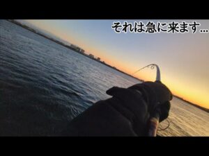 衝撃！こうなってしまうとドラグが止まりません…【浜名湖青物釣り】🎣
